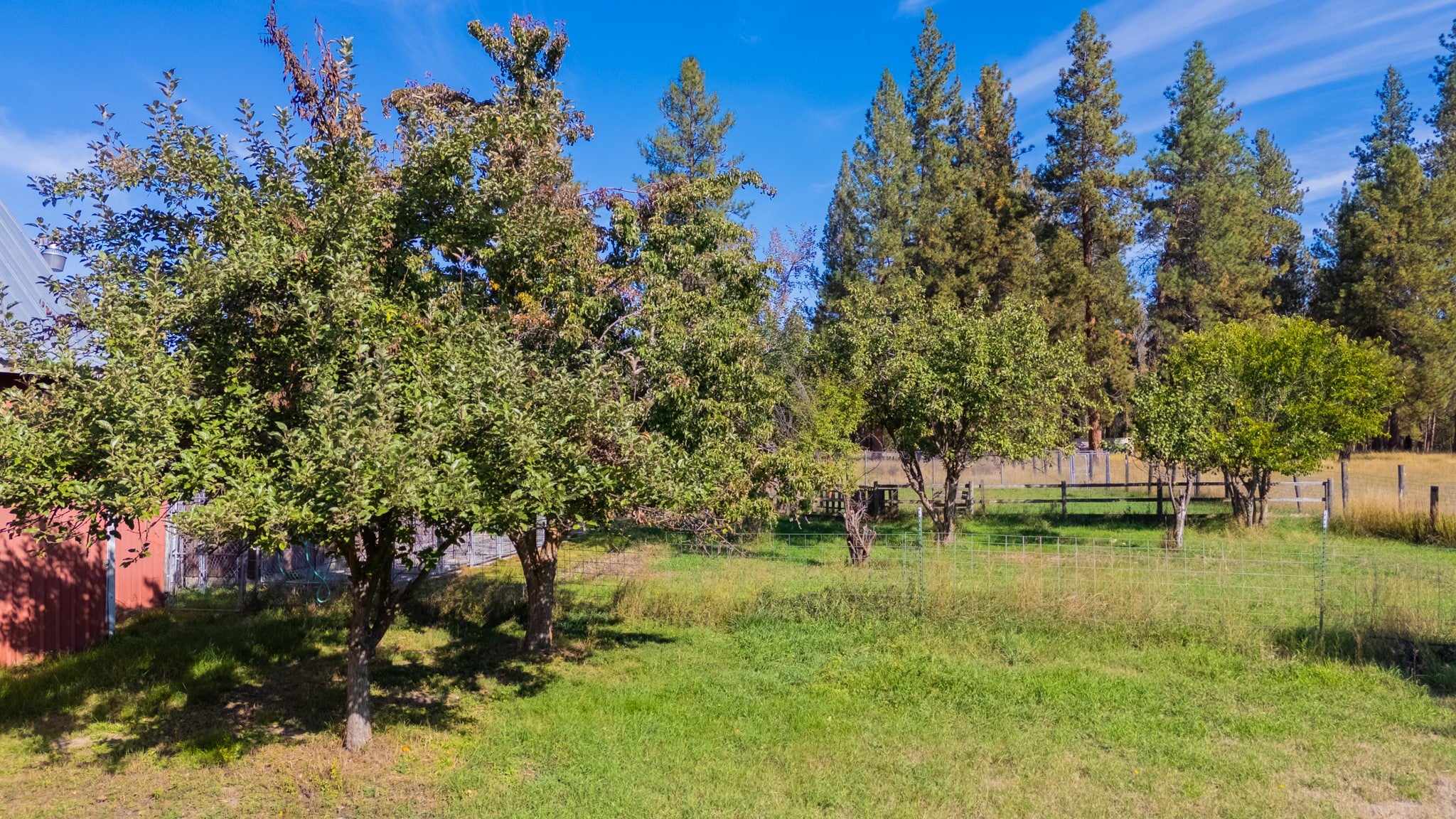 18985 Leo Hansen Road Florence, MT 59833 - Photo 27 of 48 Gallery Image 27