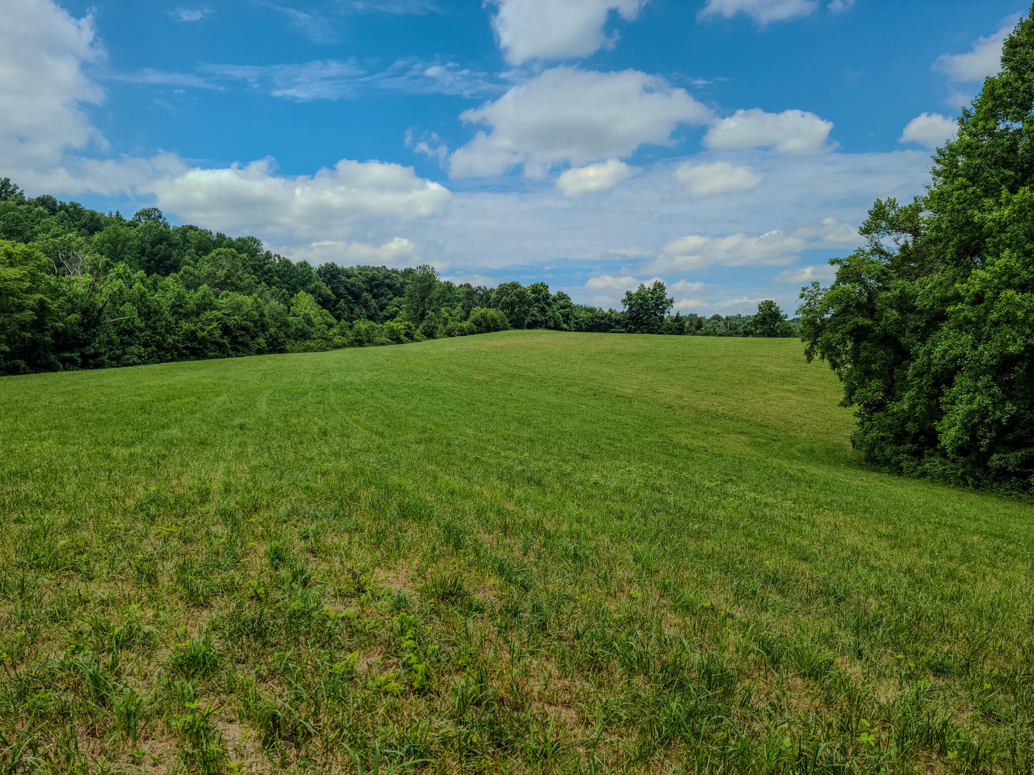 1640 Clear Branch Road Liberty, KY 42539 - Photo 116 of 135 20240706_142621