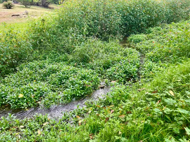 $165,000 | 537 Straith Street, Staunton, VA 24401