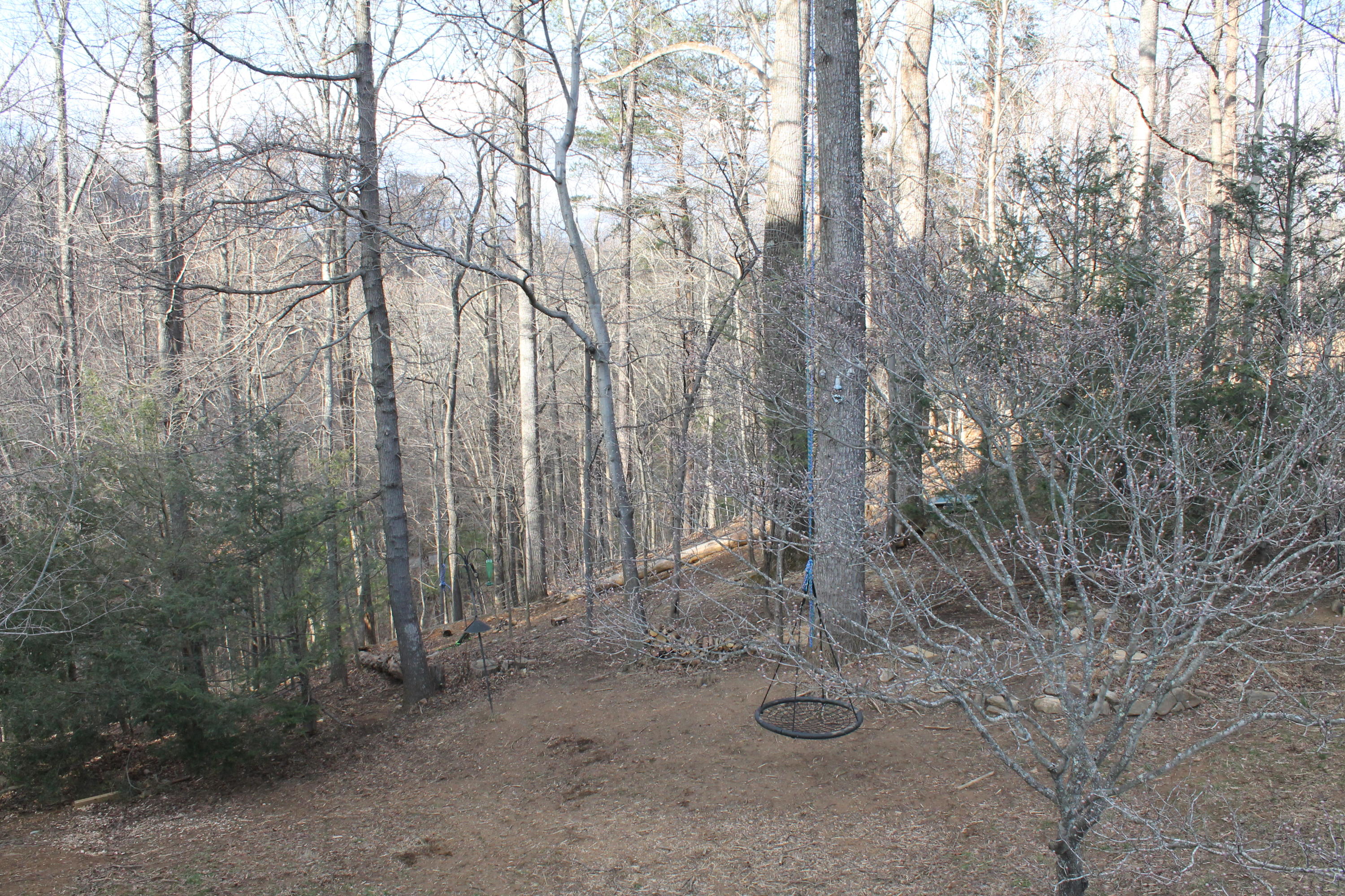 6715 Fairway Ridge Road Roanoke, VA 24018 - Photo 33 of 35 a view of a dry yard with trees