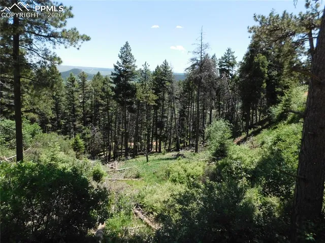 $74,900 | Lot 11 Woodmoor W Drive, Larkspur, CO 80118