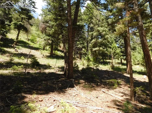 $74,900 | Lot 11 Woodmoor W Drive, Larkspur, CO 80118