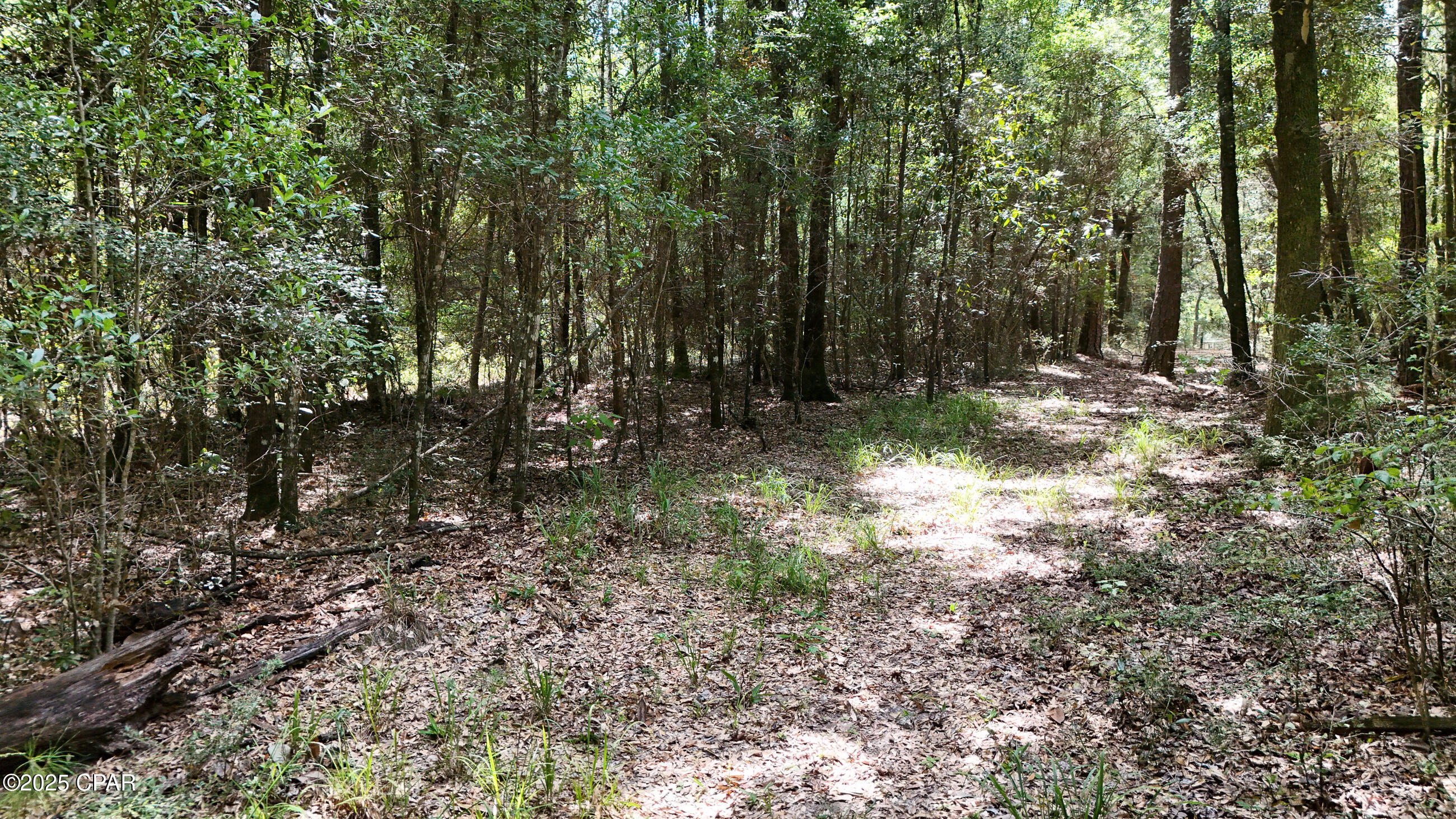 1730 Firetower Road Chipley, FL 32428 - Photo 40 of 49