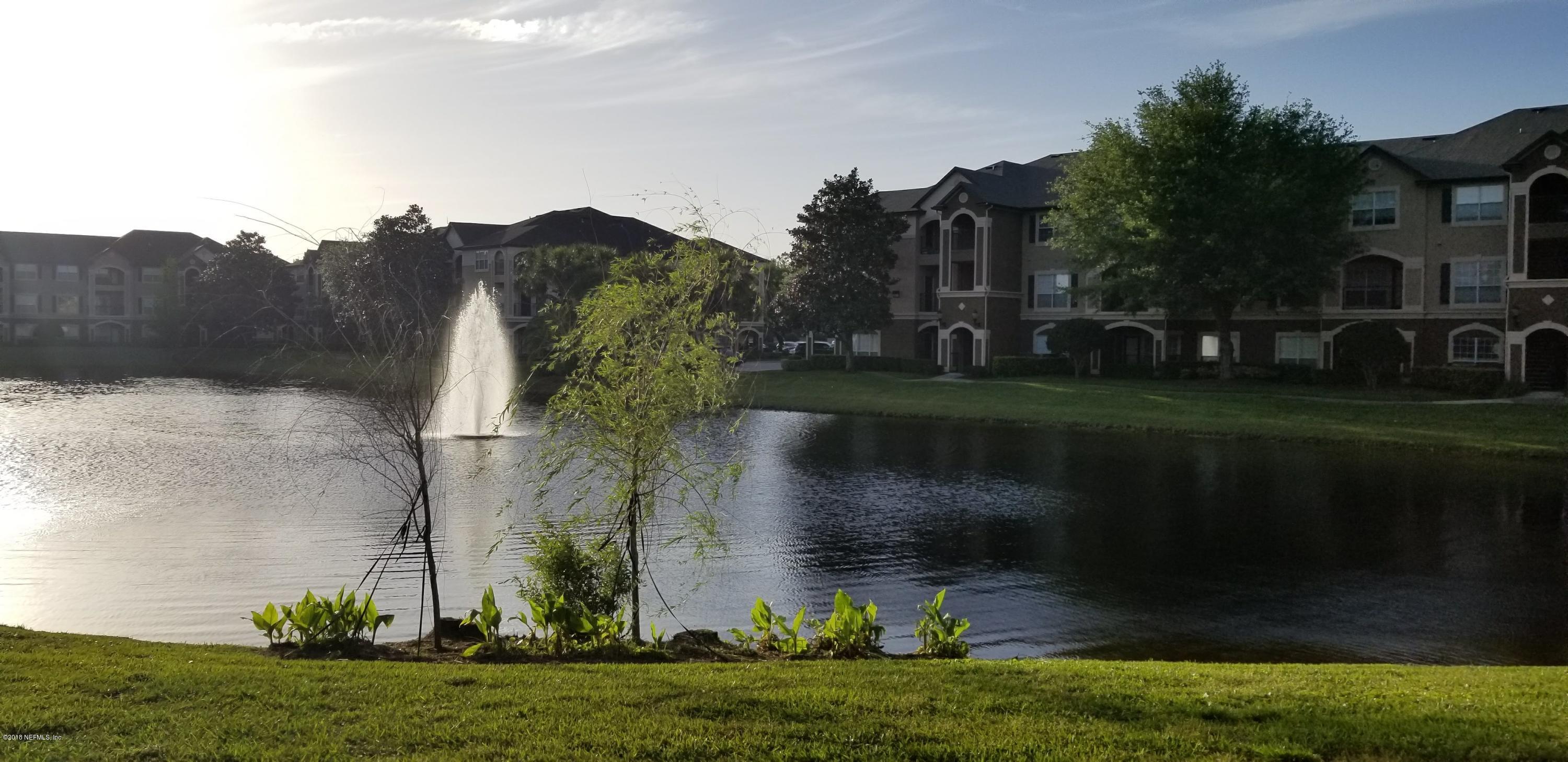 10961 Burnt Mill Road, Unit 1012 Jacksonville, FL 32256 - Photo 4 of 18 James 2