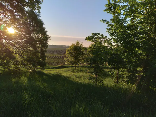 $407,000 | 24543 Co Highway 124, Fergus Falls, MN 56537