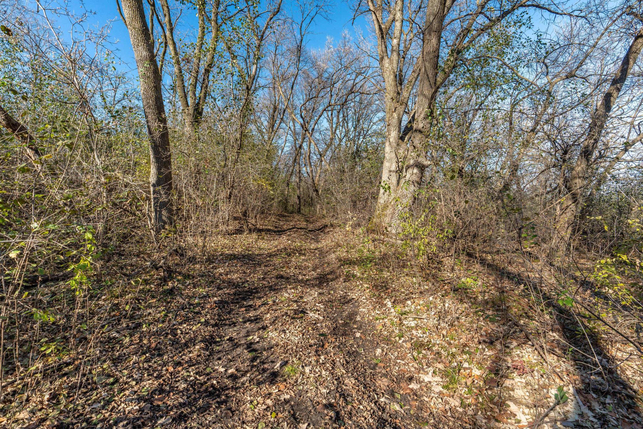 24543 Co Highway 124 Fergus Falls, MN 56537 - Photo 69 of 96