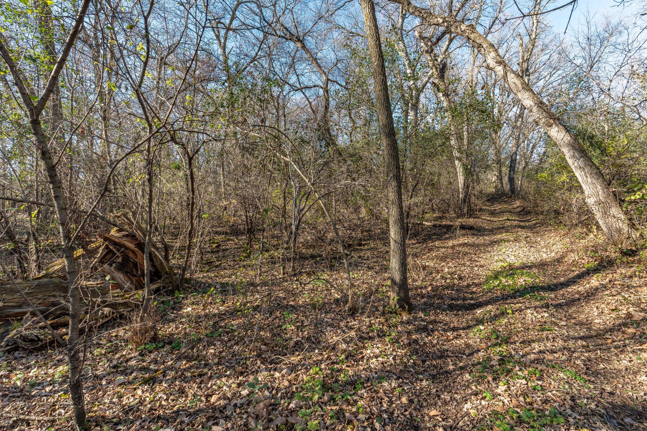 24543 Co Highway 124 Fergus Falls, MN 56537 - Photo 71 of 96