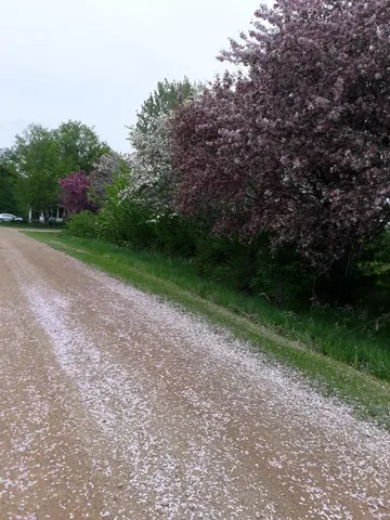 $407,000 | 24543 Co Highway 124, Fergus Falls, MN 56537