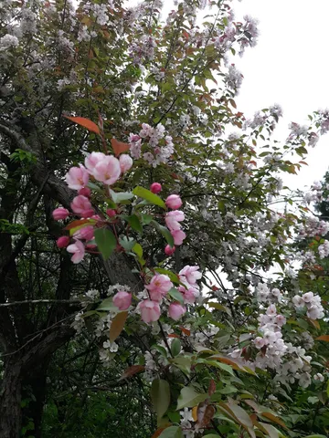 $407,000 | 24543 Co Highway 124, Fergus Falls, MN 56537