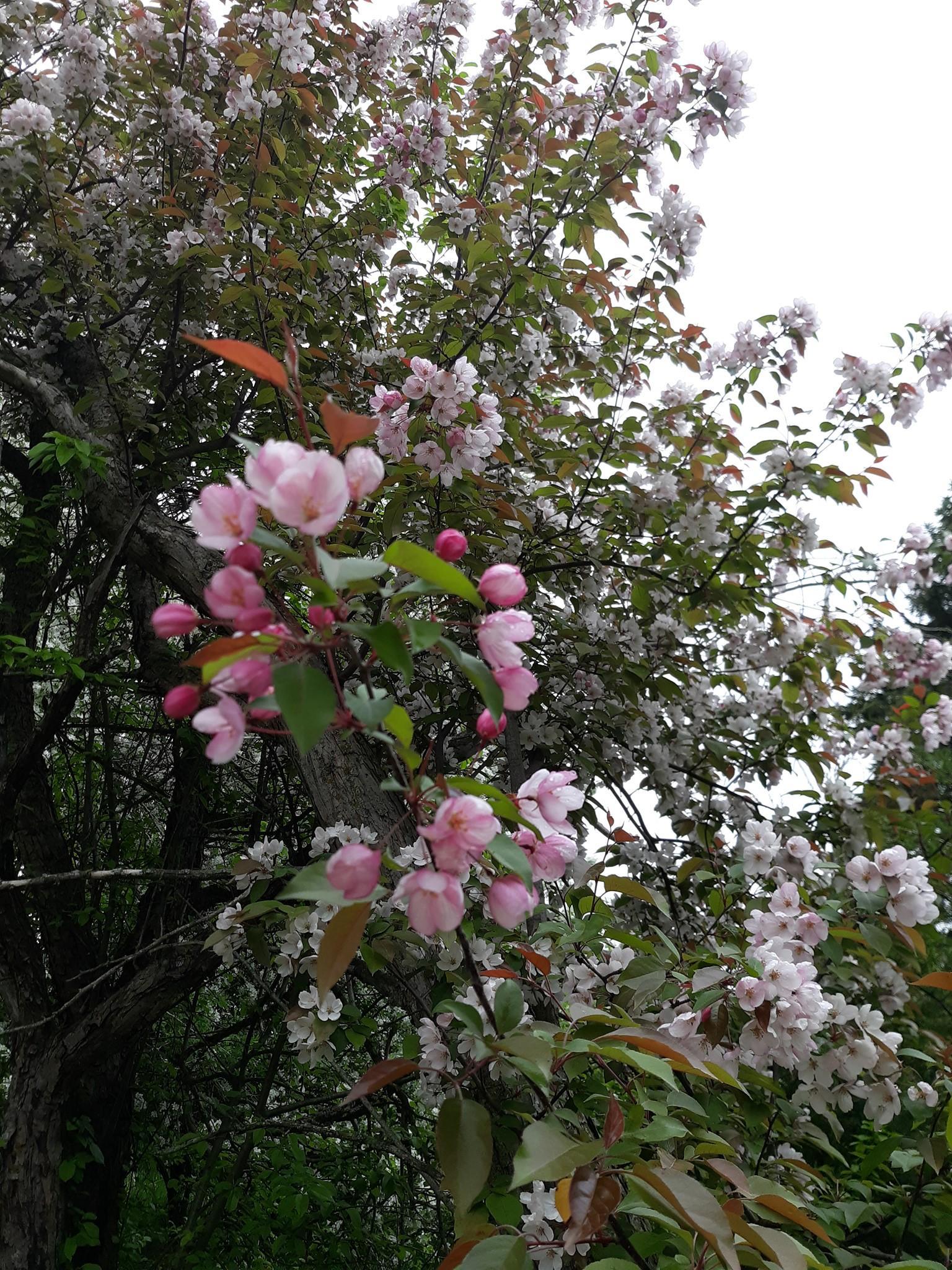 24543 Co Highway 124 Fergus Falls, MN 56537 - Photo 77 of 96