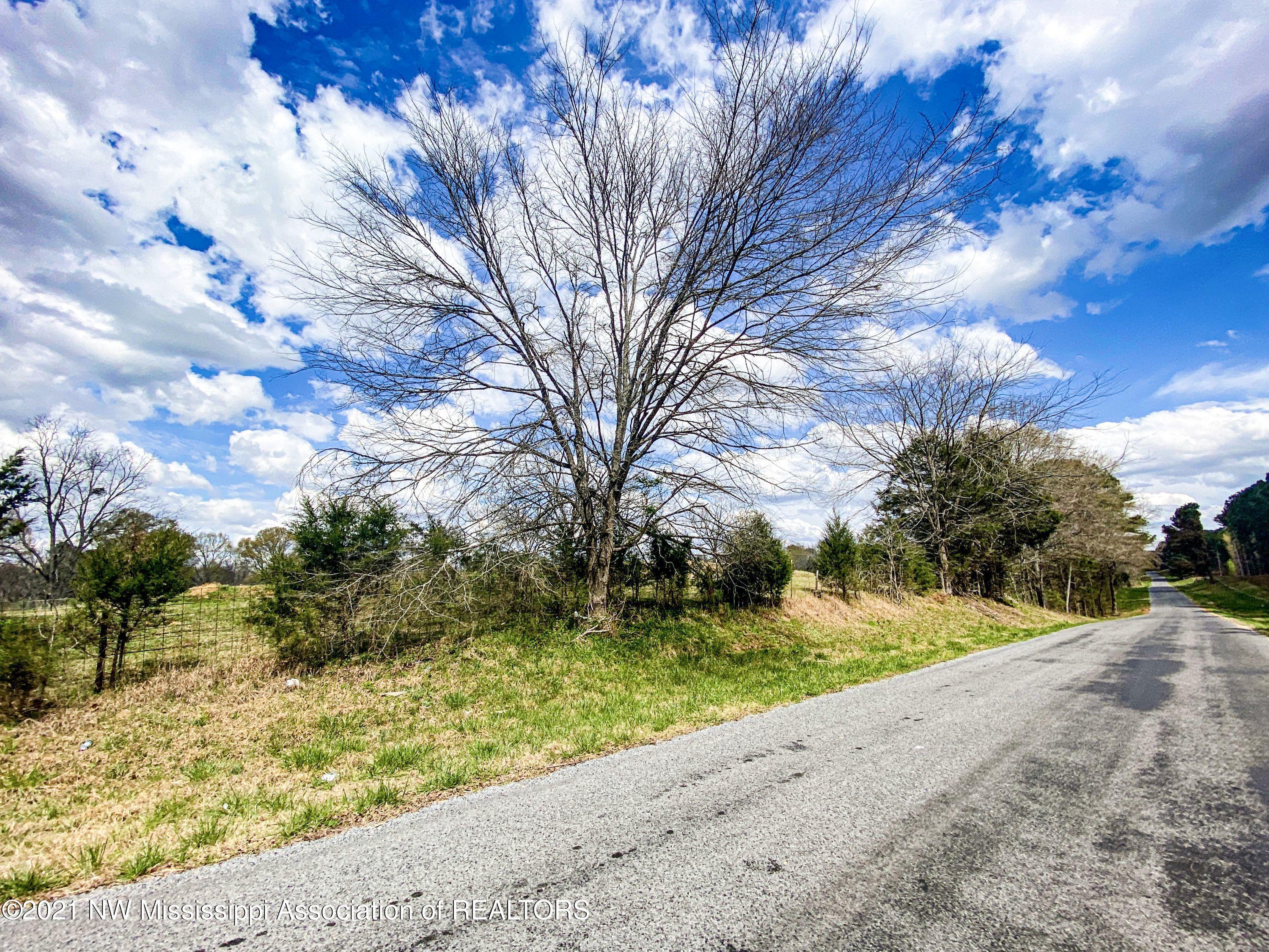 3407 Yellow Dog Road Senatobia, MS 38668 - Photo 14 of 34 ydrd12