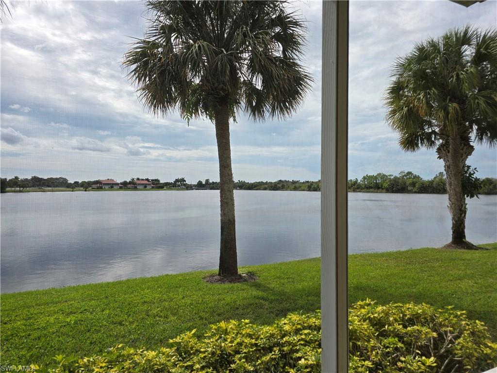 25069 Peacock Lane, Unit 101 Naples, FL 34114 - Photo 39 of 49 a view of a lake with a palm tree next to a yard