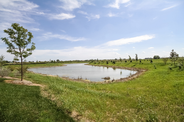 971 Redcliff Road New Lenox, IL 60451 - Photo 32 of 51 a view of a lake with a big yard