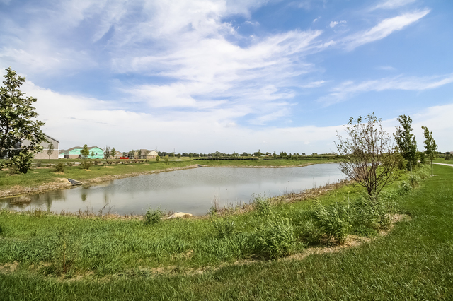 971 Redcliff Road New Lenox, IL 60451 - Photo 34 of 51 a view of a lake from a yard