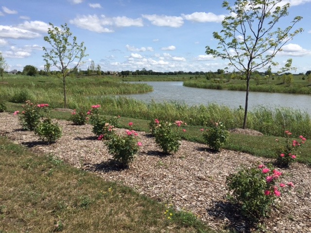 971 Redcliff Road New Lenox, IL 60451 - Photo 37 of 51 a view of a lake with a house in the background