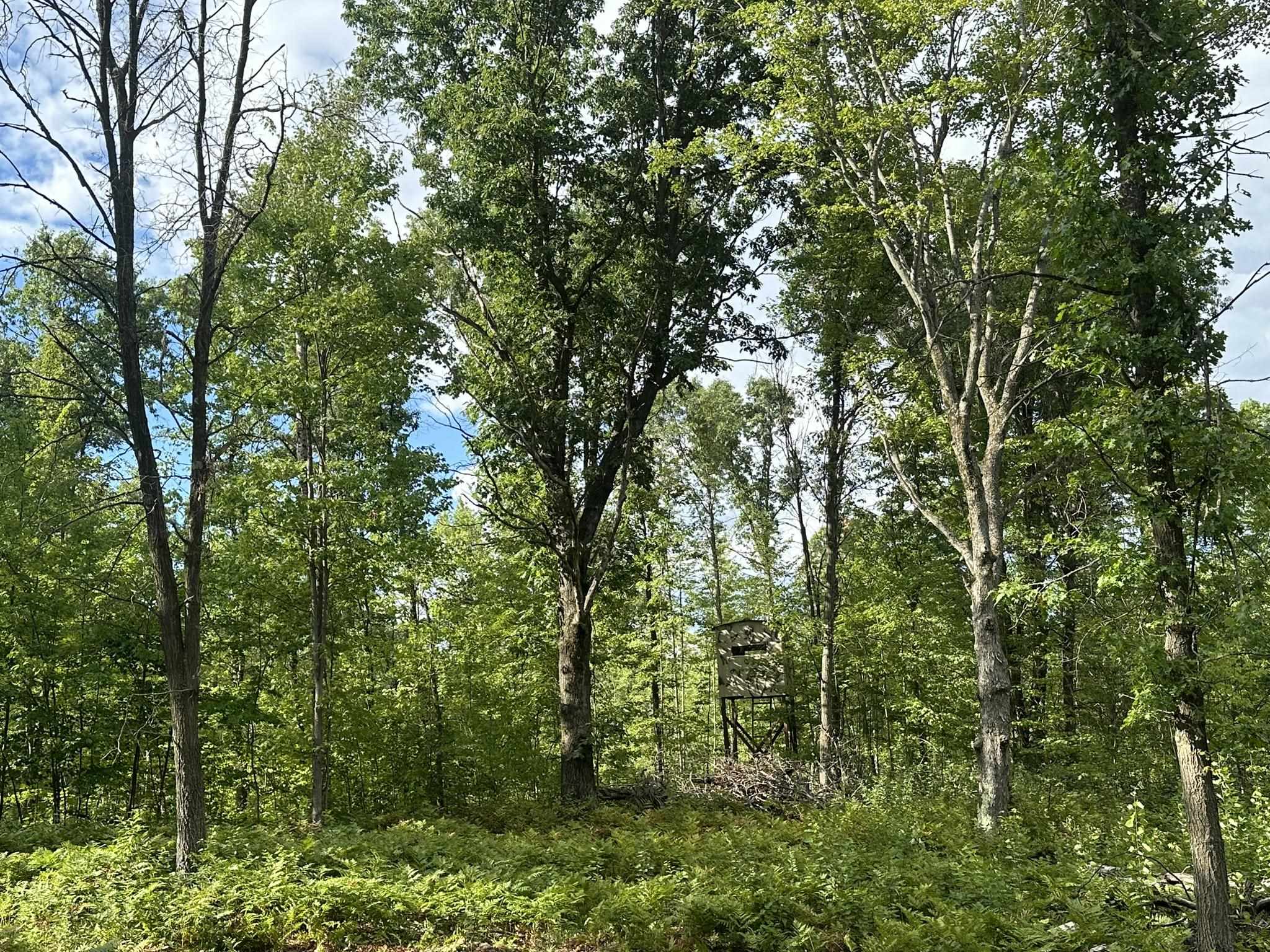 5304 South Brown Road Cadillac, MI 49601 - Photo 4 of 9