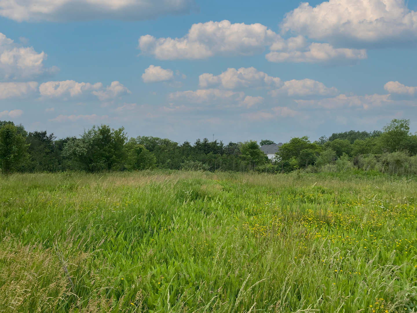 Lot 11 South Candice Court Crete, IL 60417 - Photo 4 of 5