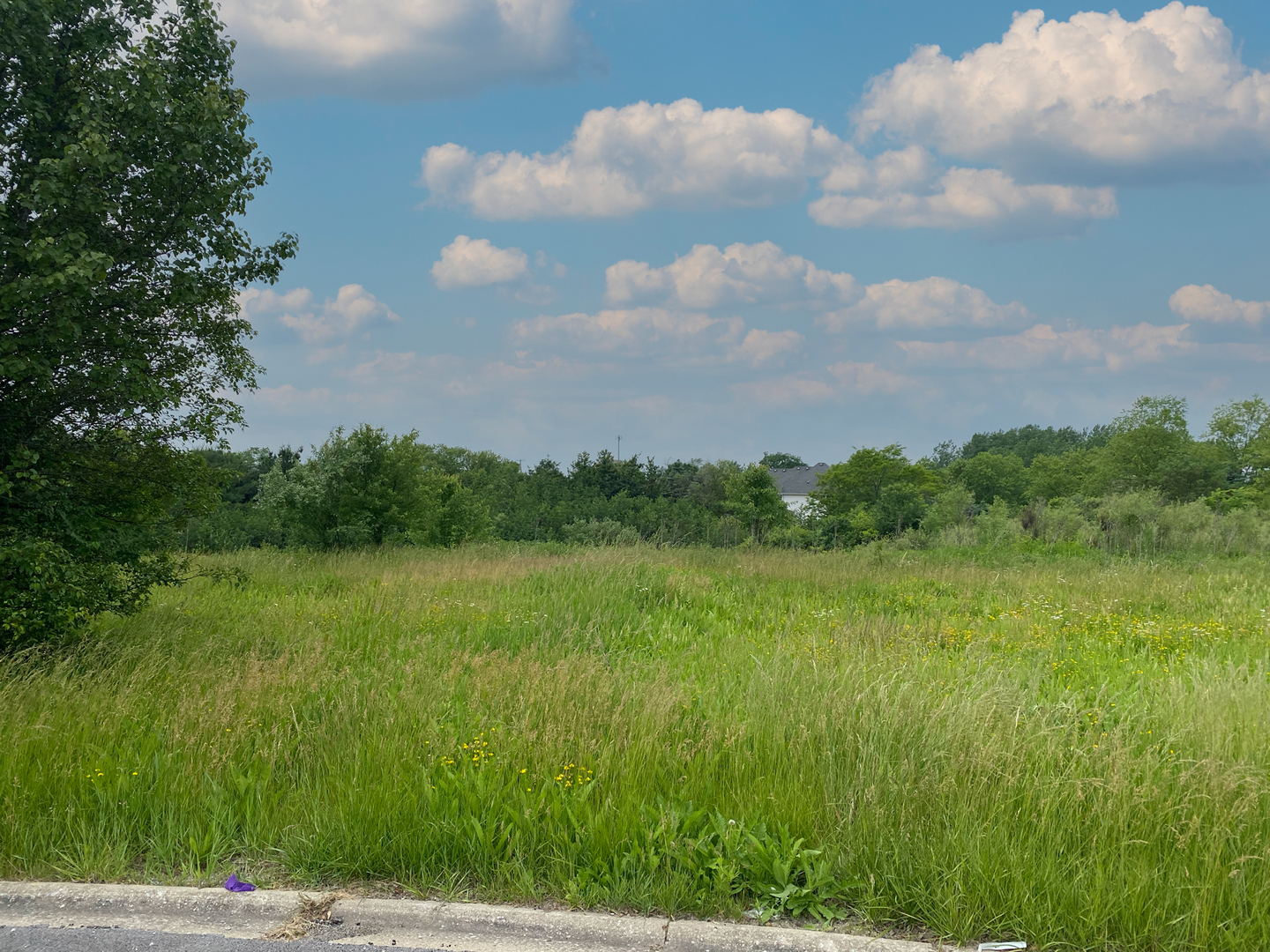 Lot 11 South Candice Court Crete, IL 60417 - Photo 5 of 5