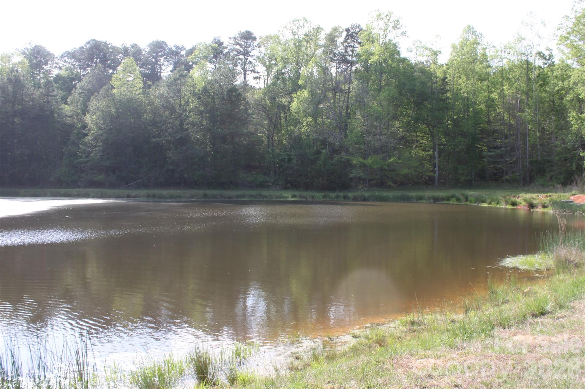 Tbd Austin Traphill Road Elkin, NC 28621 - Photo 7 of 14 Gallery Image 7