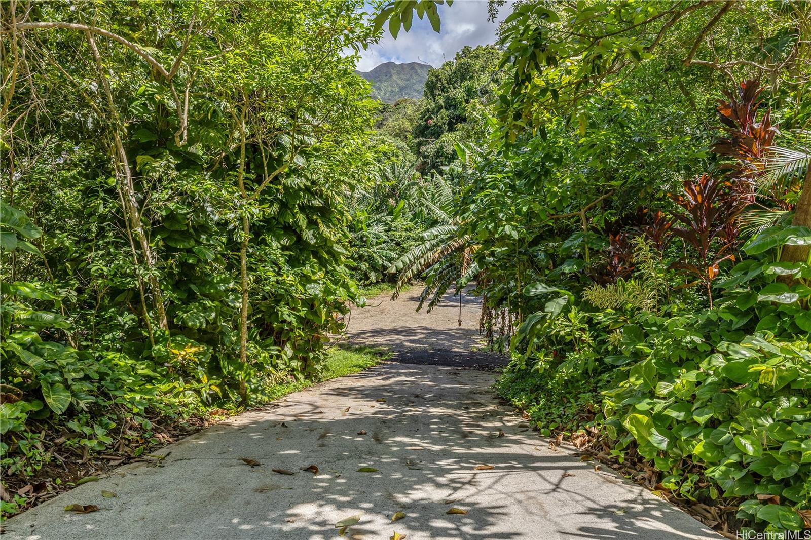 2640 Lai Road, Unit E Honolulu, HI 96816 - Photo 4 of 25 a pathway of a yard
