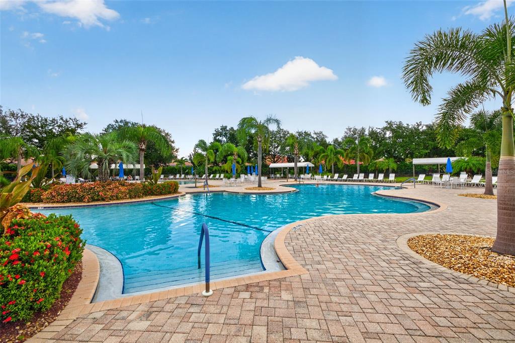 125 Shell Falls Drive Apollo Beach, FL 33572 - Photo 29 of 42 Gallery Image 29