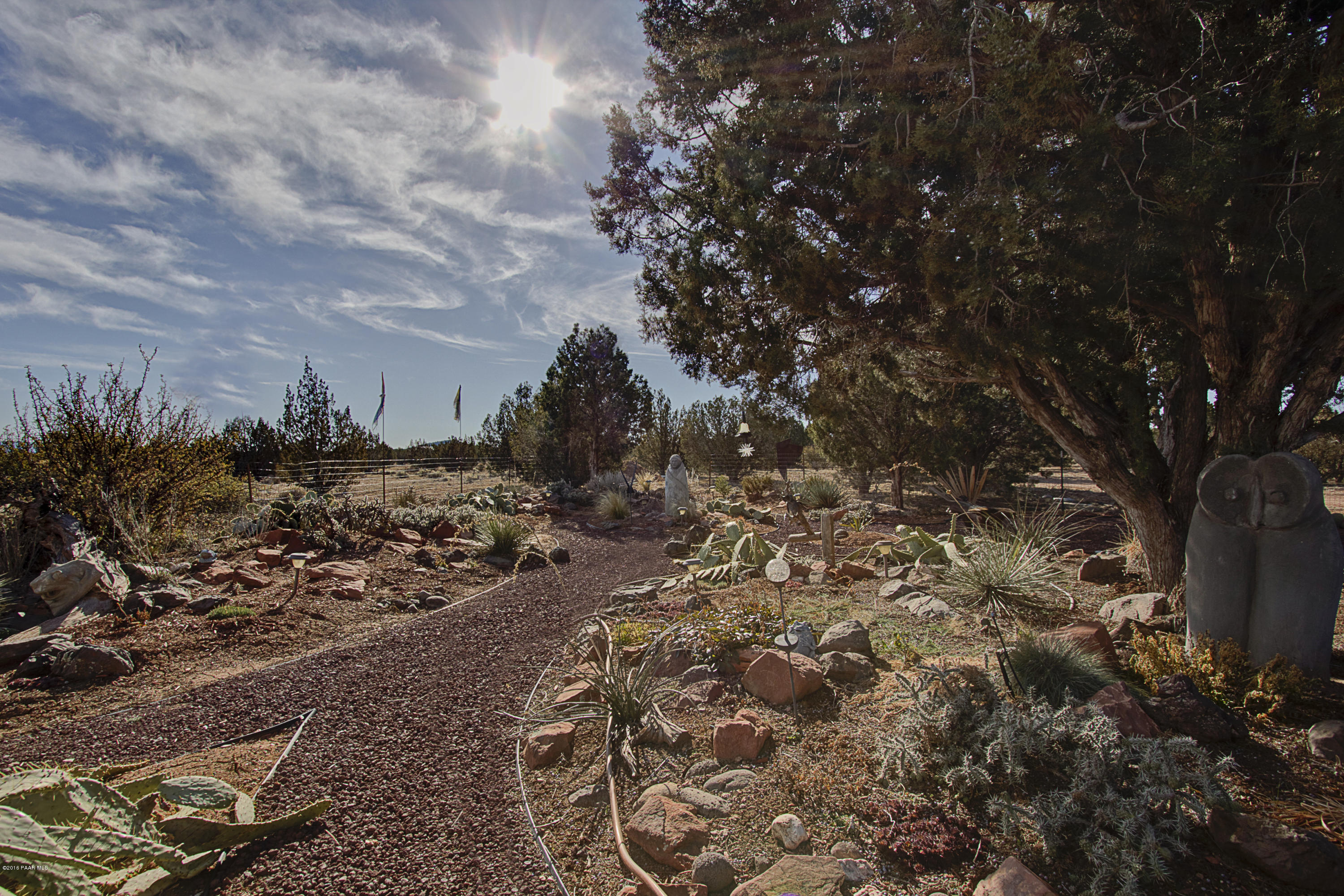 2 2 Rut Road Ash Fork, AZ 86320 - Photo 9 of 32 Botanical Garden.