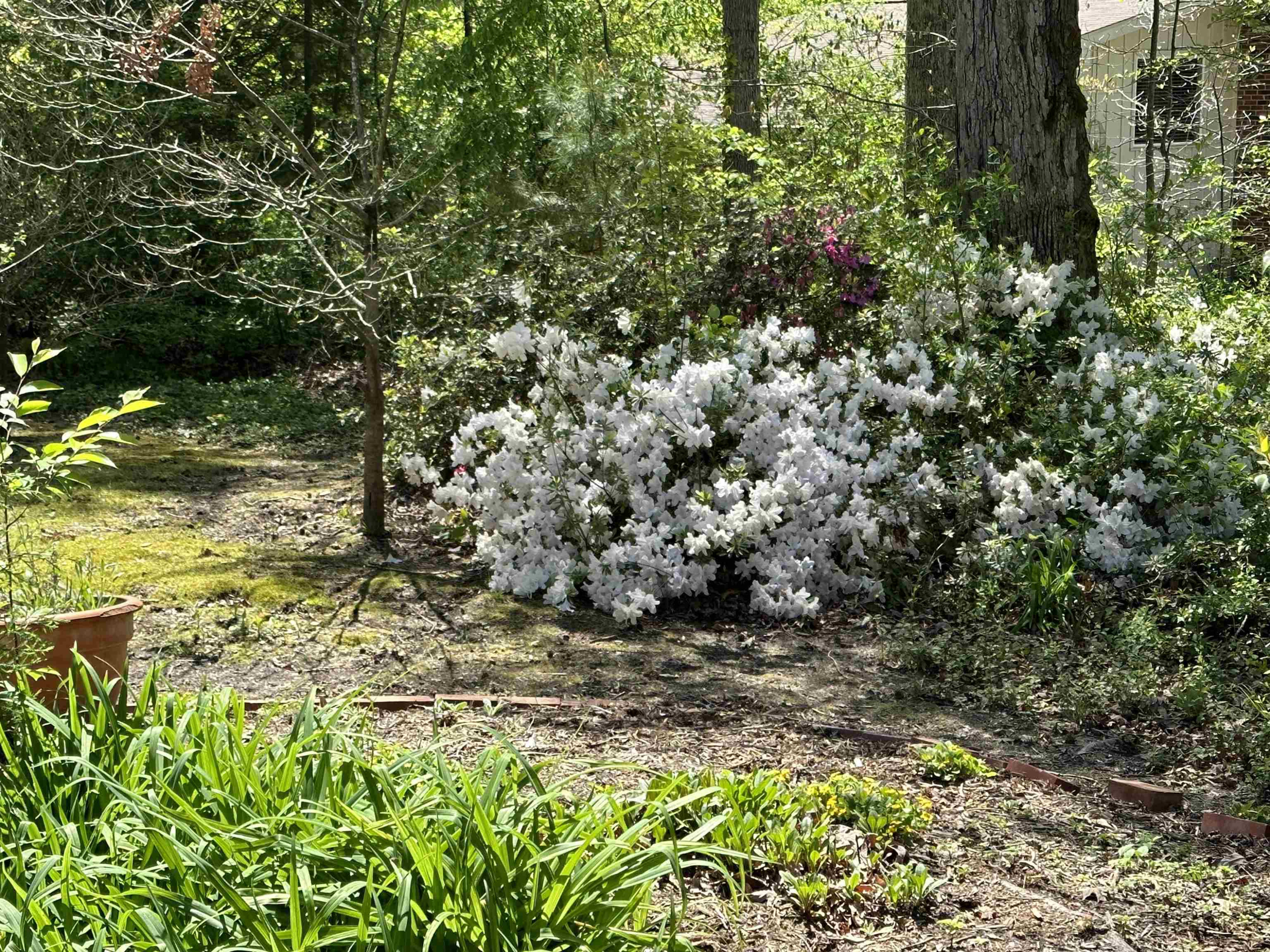 2104 Jarman Drive Raleigh, NC 27604 - Photo 6 of 37