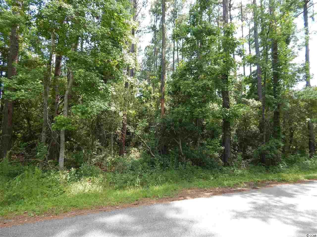 1757 Running Water Road Murrells Inlet, SC 29576 - Photo 1 of 3 Gallery Image 1