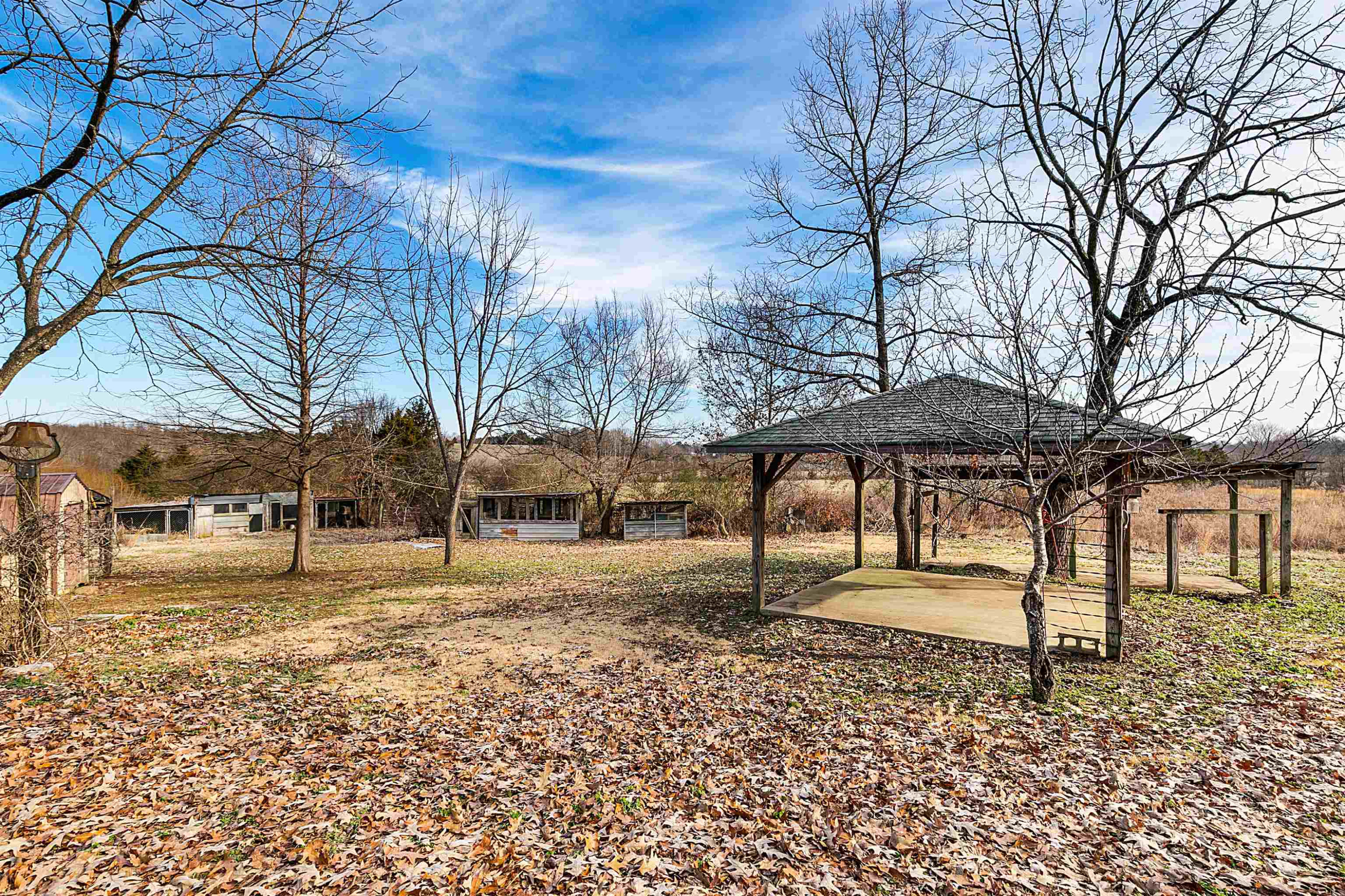 4020 Huron Road Huron, TN 38345 - Photo 14 of 24 a view of a yard with a tree