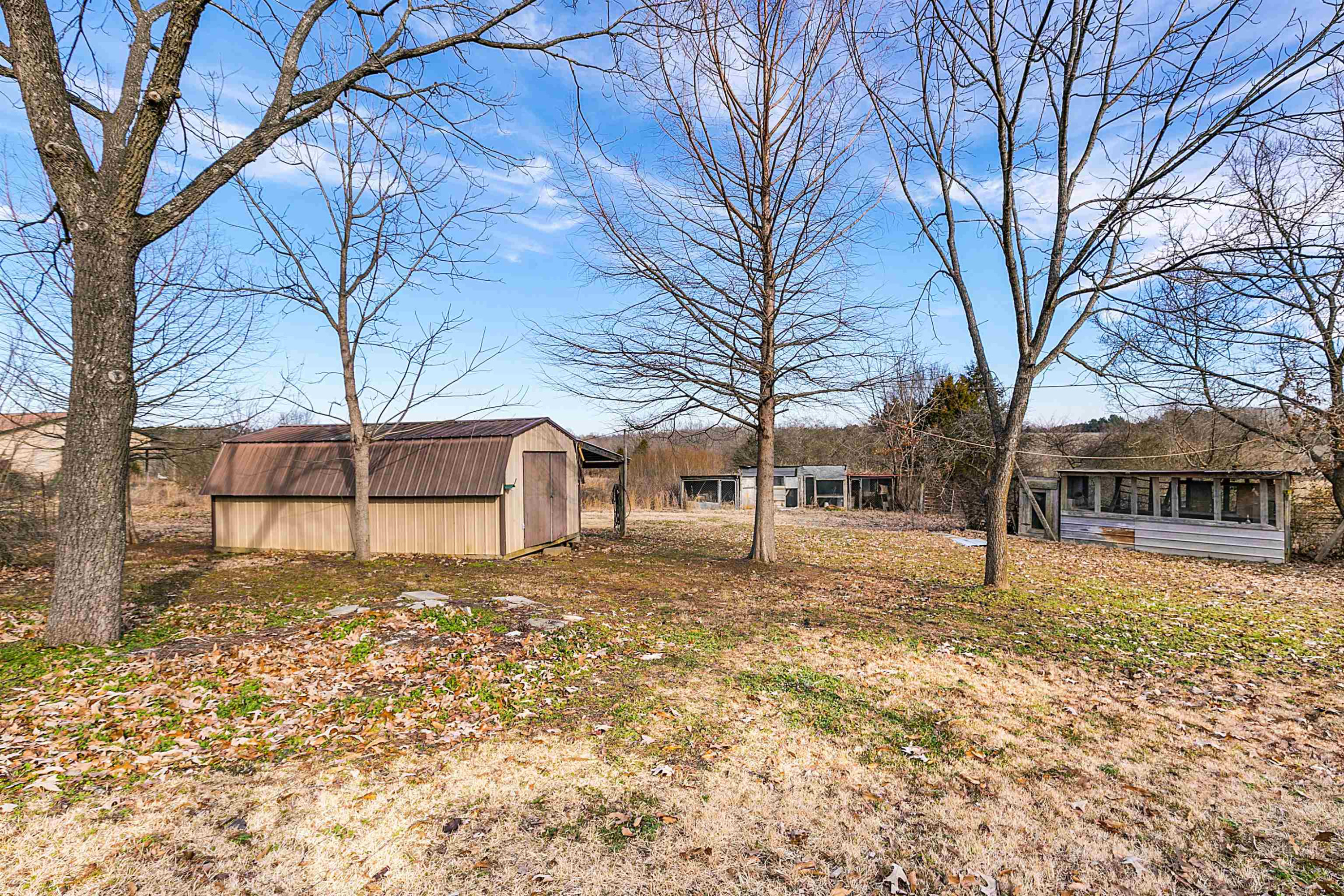 4020 Huron Road Huron, TN 38345 - Photo 15 of 24 a big yard with large tree