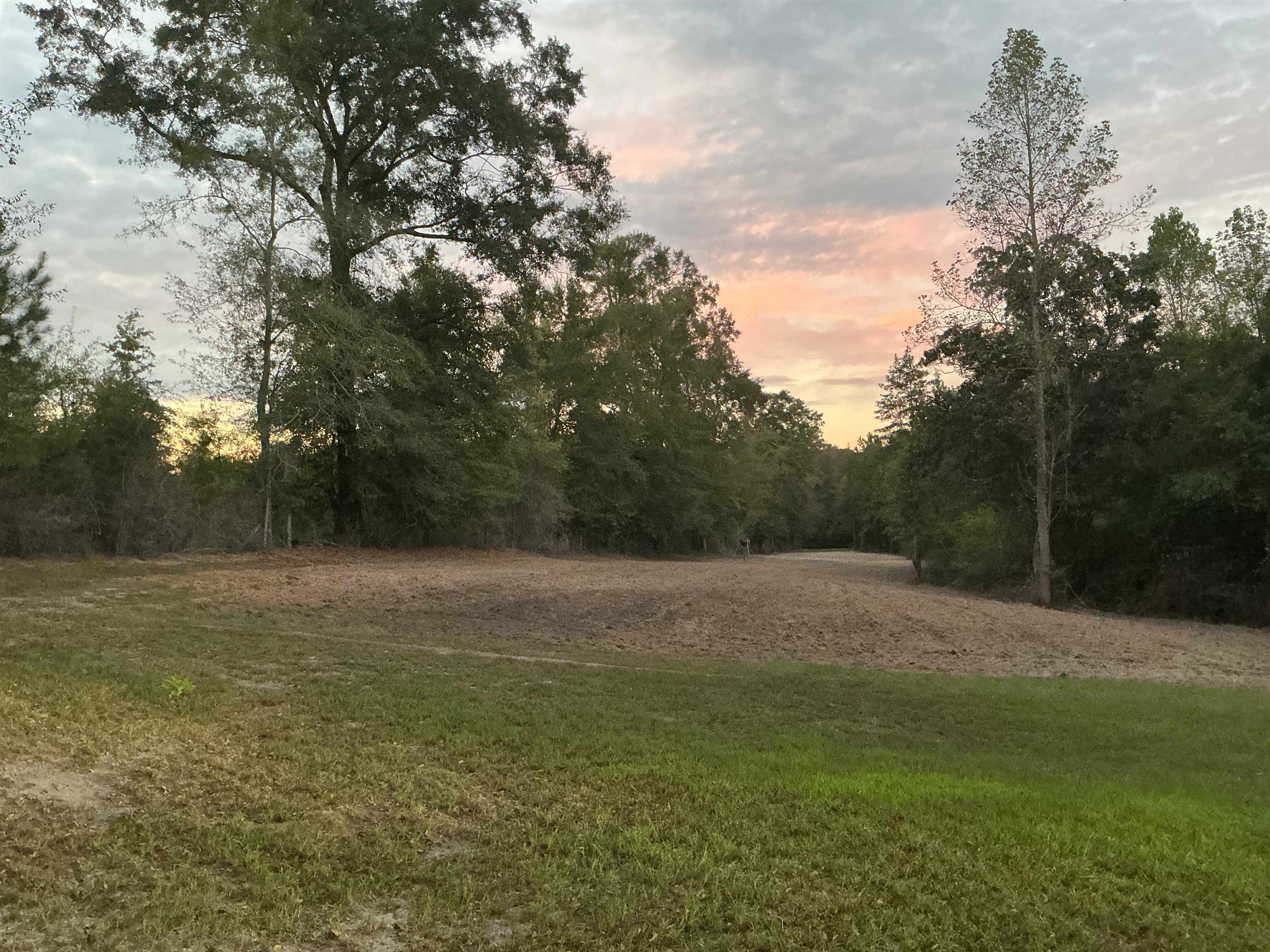 31769 Boston Road Dozier, AL 36028 - Photo 28 of 48 Gallery Image 28