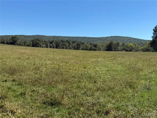 $359,900 | 0 Cr 157 Des Arcade, Des Arc, MO 63636