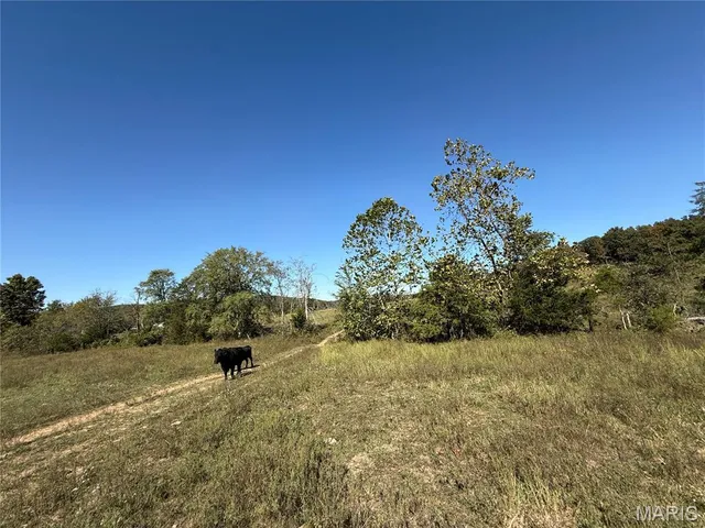 $359,900 | 0 Cr 157 Des Arcade, Des Arc, MO 63636