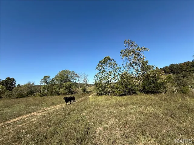 $359,900 | 0 Cr 157 Des Arcade, Des Arc, MO 63636