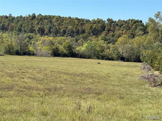 $359,900 | 0 Cr 157 Des Arcade, Des Arc, MO 63636