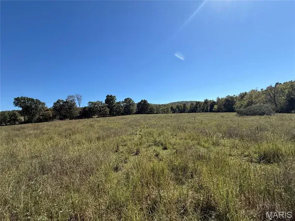 $259,200 | 0 Cr 157 Des Arcade, Des Arc, MO 63636