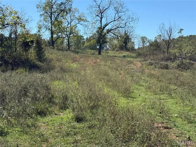 $359,900 | 0 Cr 157 Des Arcade, Des Arc, MO 63636