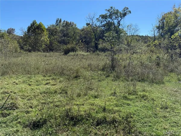 $259,200 | 0 Cr 157 Des Arcade, Des Arc, MO 63636