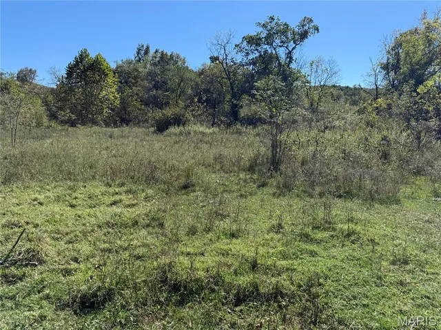 $359,900 | 0 Cr 157 Des Arcade, Des Arc, MO 63636