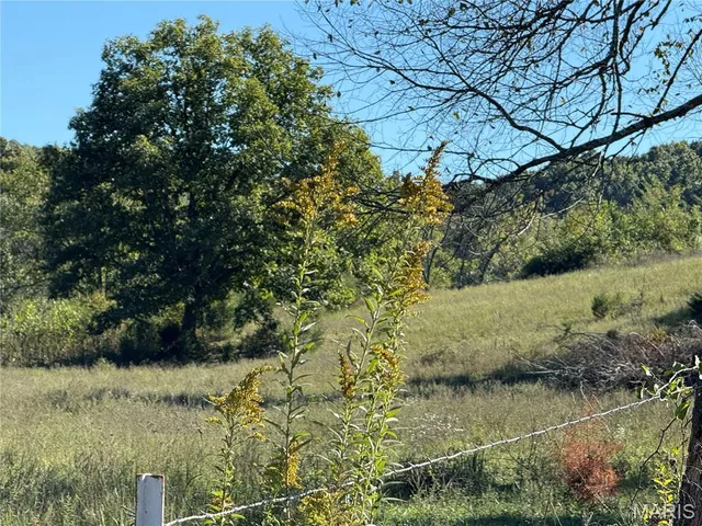 $359,900 | 0 Cr 157 Des Arcade, Des Arc, MO 63636