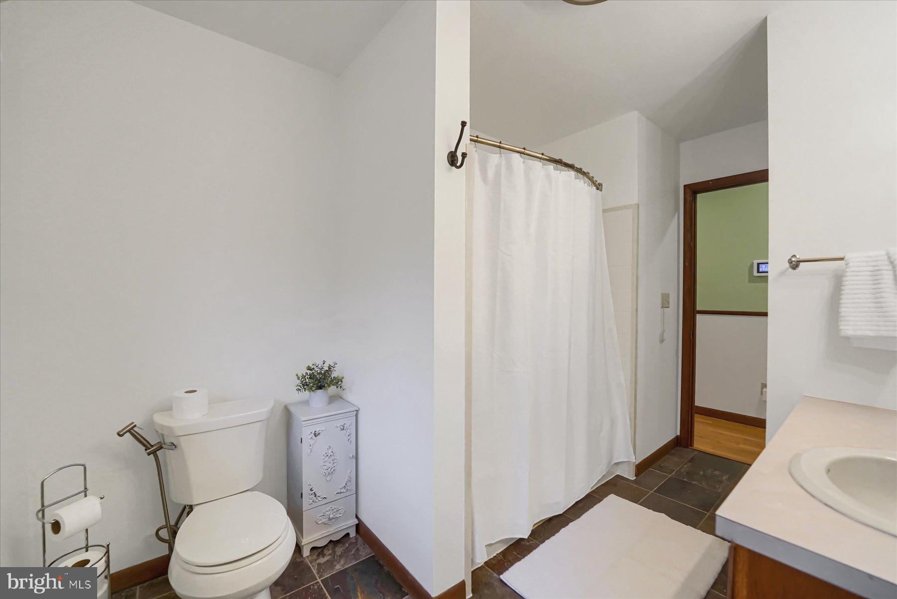 768 Dry Hollow Road Warriors Mark, PA 16877 - Photo 21 of 56 a white toilet sitting next to a bathroom sink and a shower