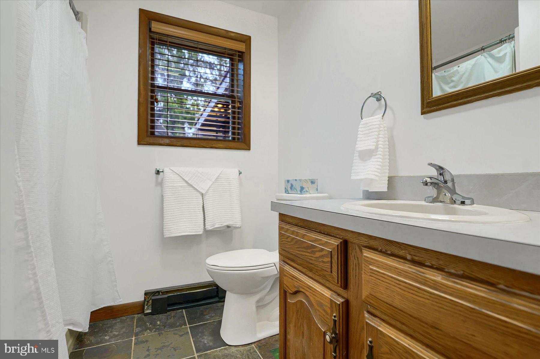 768 Dry Hollow Road Warriors Mark, PA 16877 - Photo 30 of 56 a bathroom with a sink a toilet and mirror