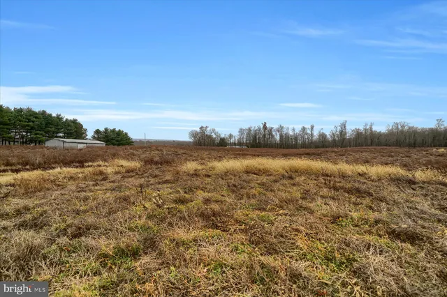 a view of a backyard of the house