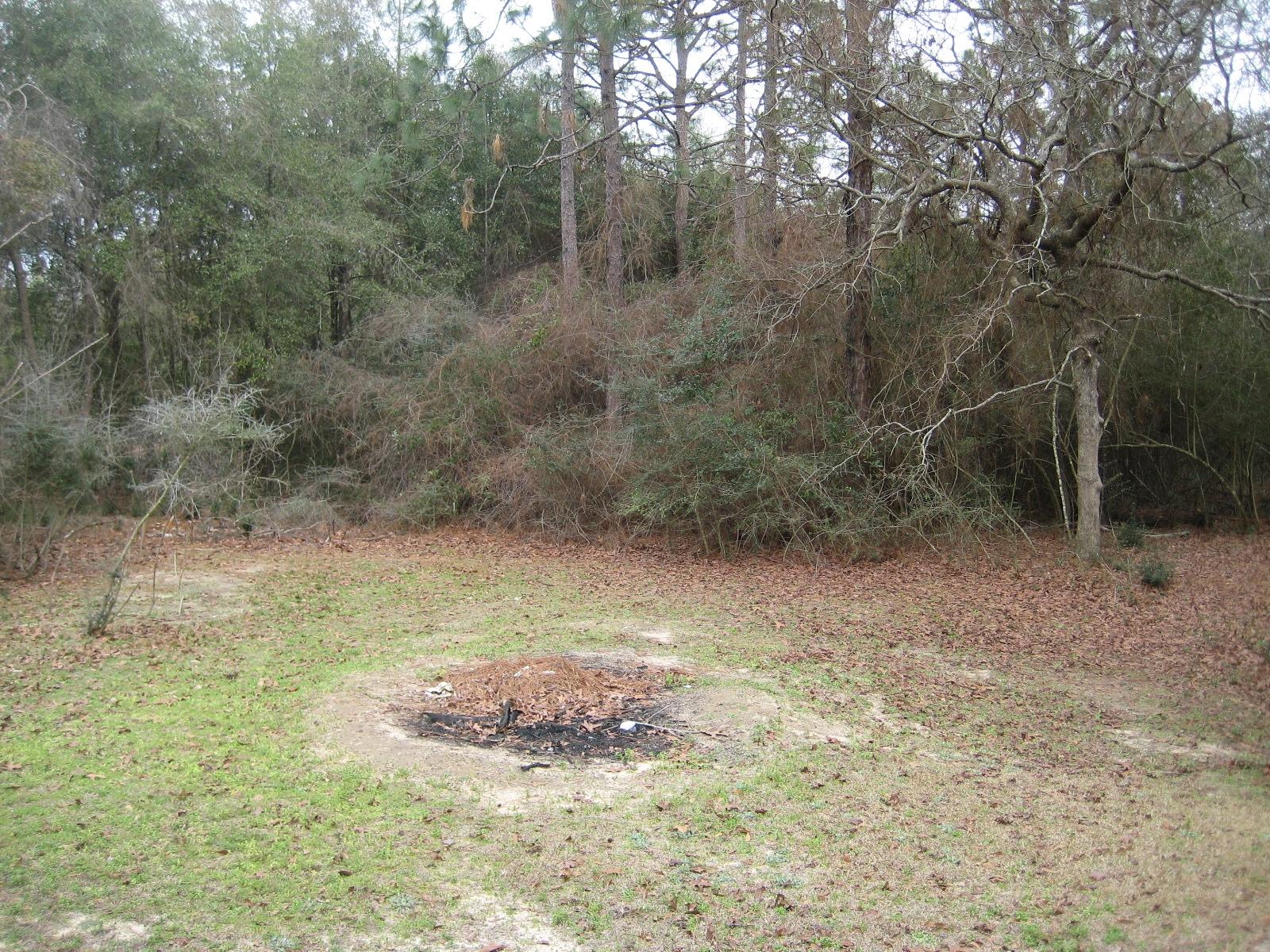 6003 Robin Road Crestview, FL 32539 - Photo 15 of 17 a view of a dry yard