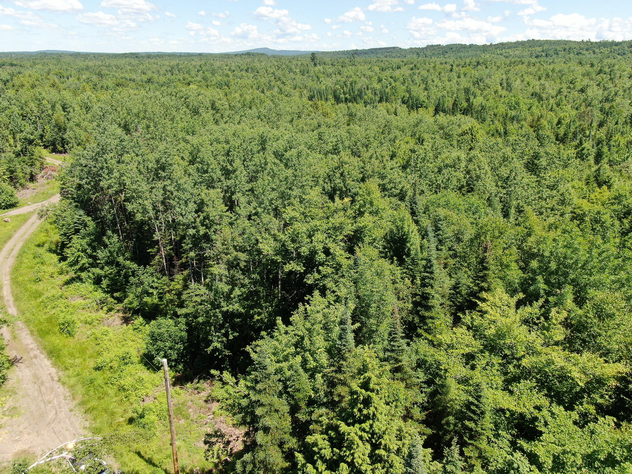 Lot 5 Woodland Ridge Road Danforth, ME 04424 - Photo 2 of 17 DJI_0854