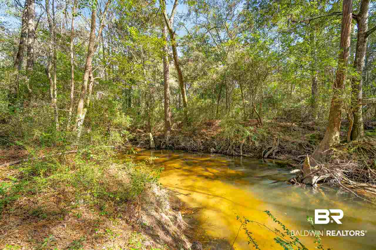 22644 River Road South Daphne, AL 36526 - Photo 36 of 46 Fish River