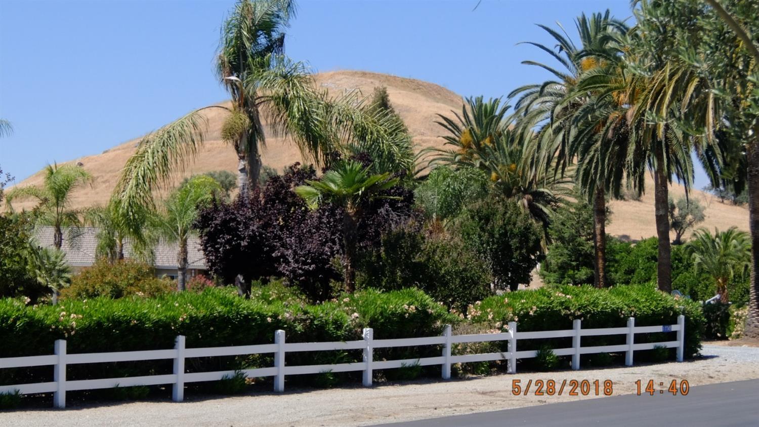 30914 Angus Loop Drive Springville, CA 93265 - Photo 1 of 9 a view of a palm tree with a wooden fence