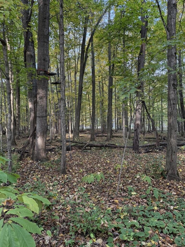 2255 River Road Hastings, MI 49058 - Photo 94 of 94