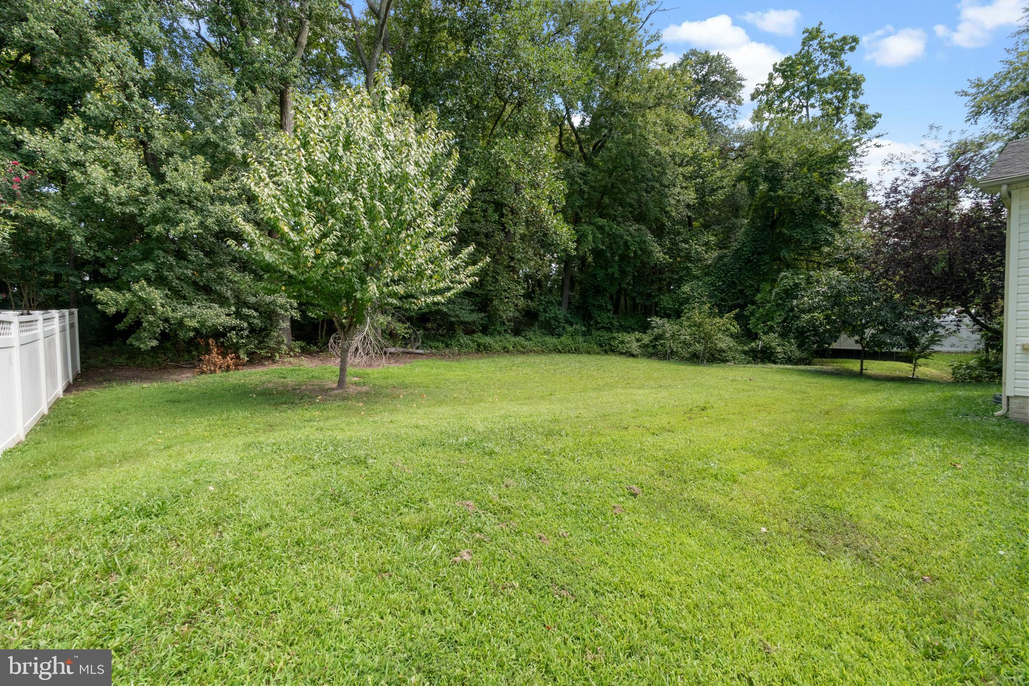15 Johnson Road Pasadena, MD 21122 - Photo 5 of 40 a view of green field with trees in the background