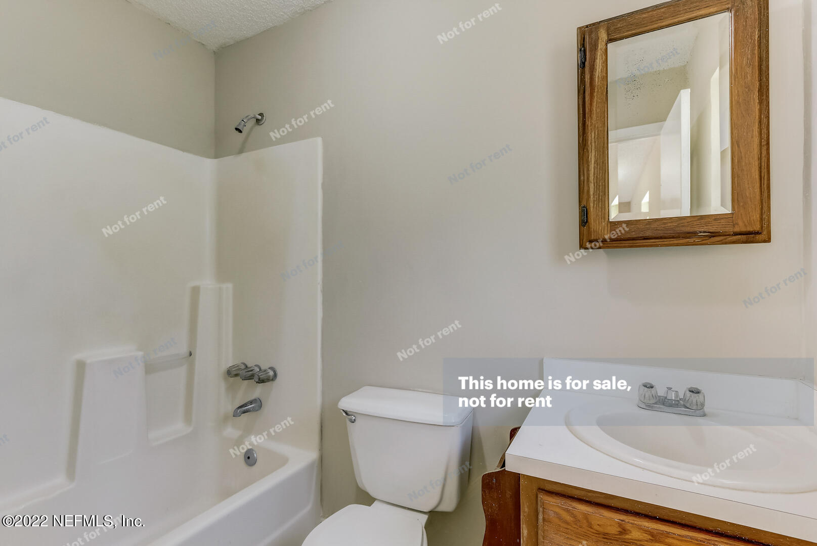 12348 Old Plank Road Jacksonville, FL 32220 - Photo 6 of 25 a bathroom with a sink mirror toilet and bathtub